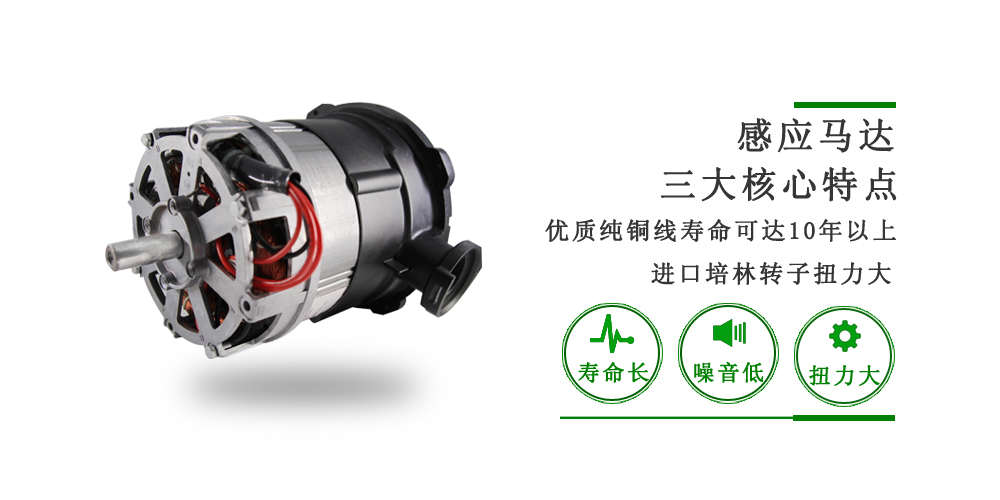 洗碗機(jī)洗滌泵交流電機(jī)