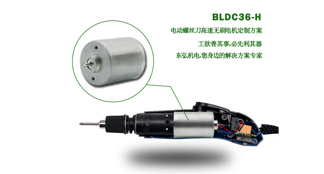 高速直流無(wú)刷電機(jī)