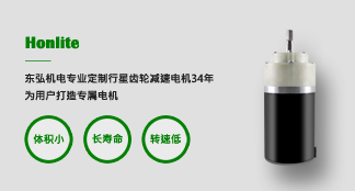 齒輪減速電機(jī)