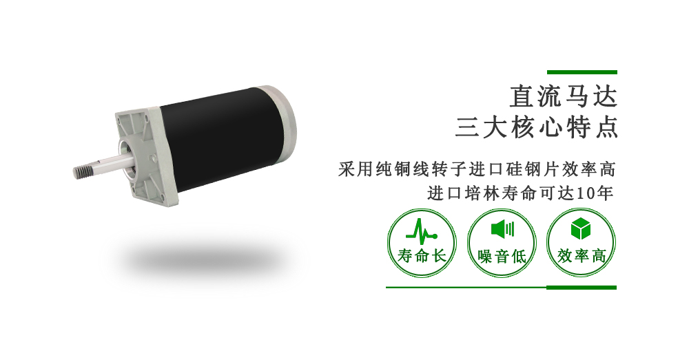 DH系列直流有刷電機(jī) DH系列直流有刷電機(jī)