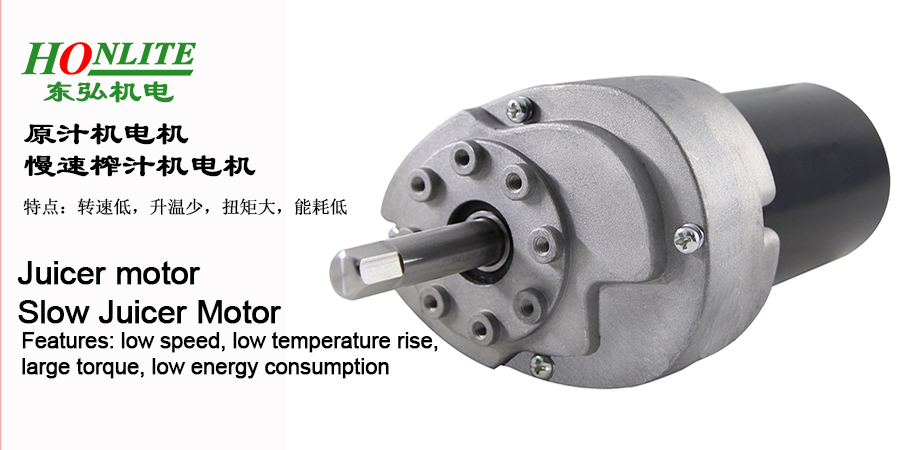 D44原汁機(jī)(慢榨機(jī))電機(jī)